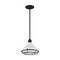 Nuvo Fixture, Pendant, 1-Light, Incandescent, 60W, 120V, A19, Medium Base 60/7023 - alternate 2